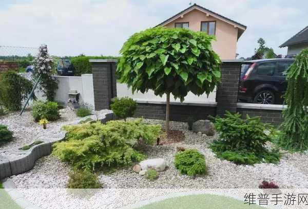 小花园想夹东西怎么办：1. 小花园如何巧妙利用空间来夹东西