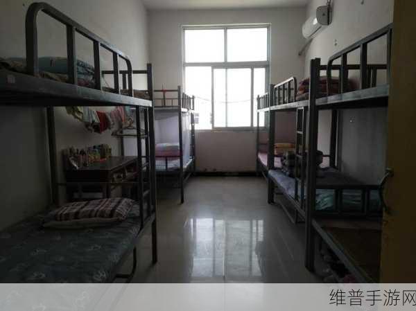 女生宿舍5中汉字晋通话:当然可以,以下是一些基于“女生宿舍5”的汉字晋通话拓展出的新