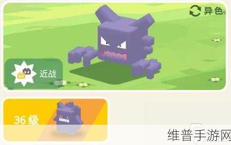 宝可梦大探险，精灵宝可梦实力深度洞察