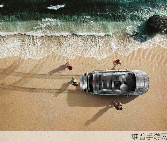 好成色的YS31:1. "YS31:探索高品质生活的全新选择