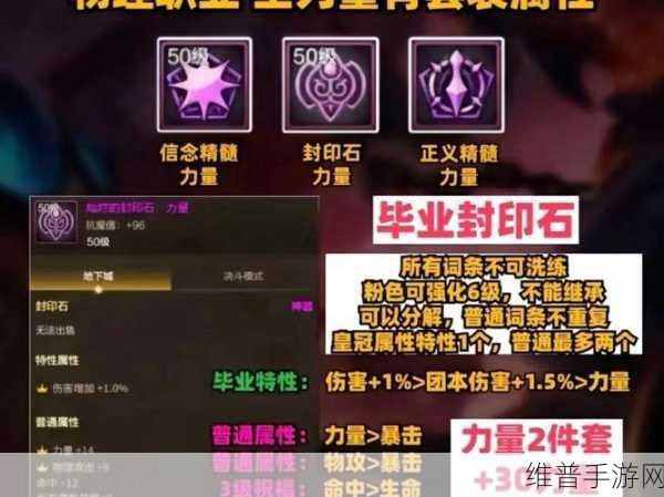2025 男漫游护石精准抉择，地下城与勇士手游秘籍