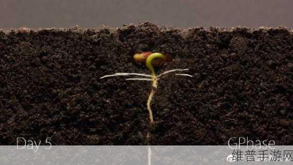 腰下一沉穿透了那层膜:探寻未知:穿透膜后的奇妙世界
