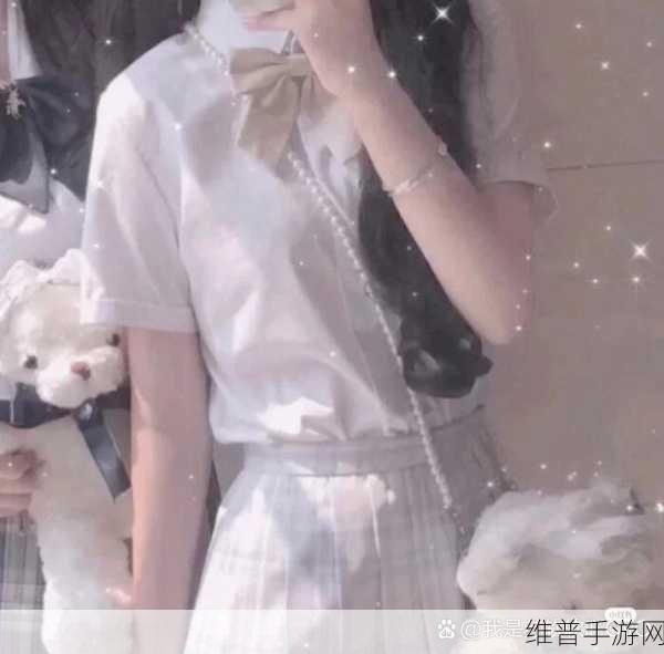 苏软软优质灌溉系统：1. 苏软软优质灌溉系统的创新应用与发展前景