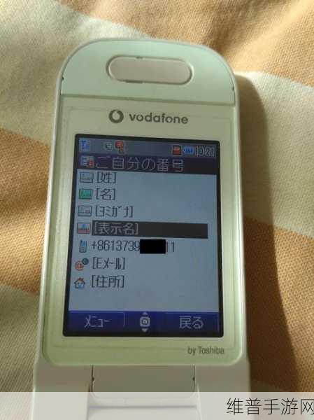 荷兰Vodafone精品：1. 荷兰Vodafone：开启移动通信新纪元