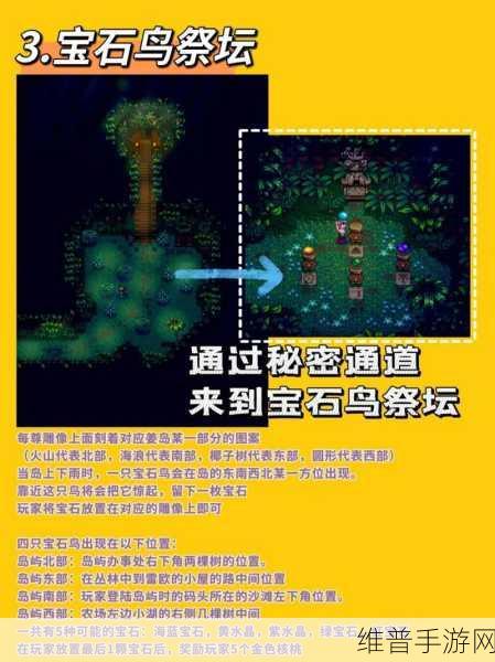星露谷物语1.5，宝石鸟解谜全攻略
