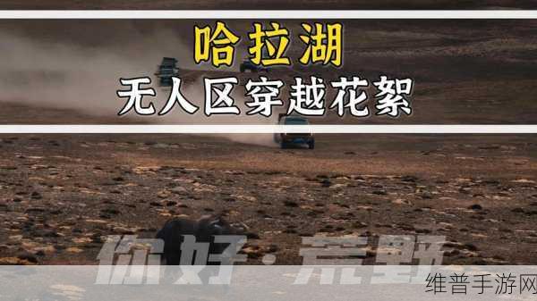 无人区经典电影画风逐渐扭曲：1. 荒野深处：迷失在逐渐扭曲的现实