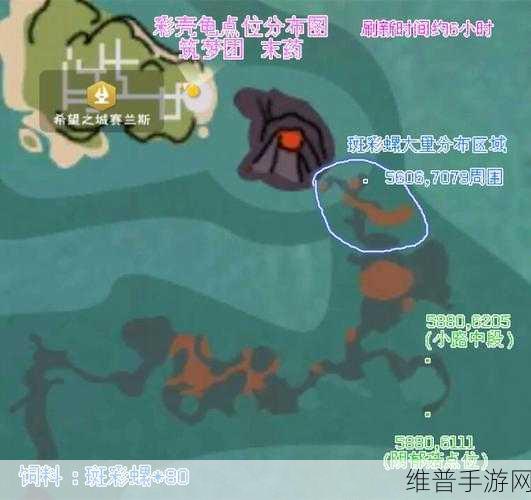 创造与魔法，龟壳获取秘籍大揭秘