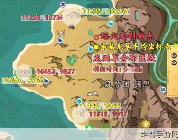 创造与魔法，龟壳获取秘籍大揭秘