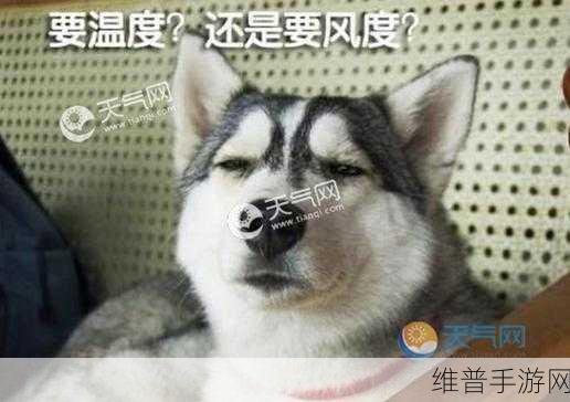 人狗胶配方大全免费天气预报：1. 人狗胶配方大全：完美搭配与使用技巧解析
