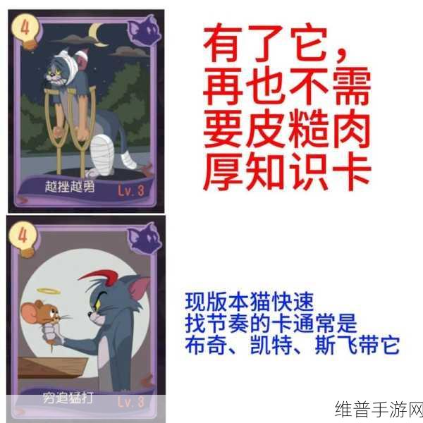 猫和老鼠手游，知识卡搭配秘籍大放送