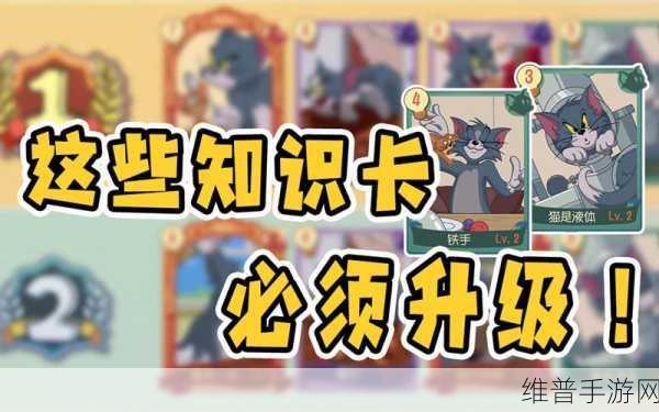 猫和老鼠手游,知识卡搭配秘籍大放送