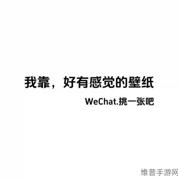 可不可以干湿你最火的一句：1. 干湿之间，探索生活的无限可能