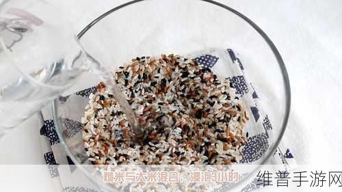 舌头一点一点向里探去作文：1. 舌尖上的探索：寻找未知的味道