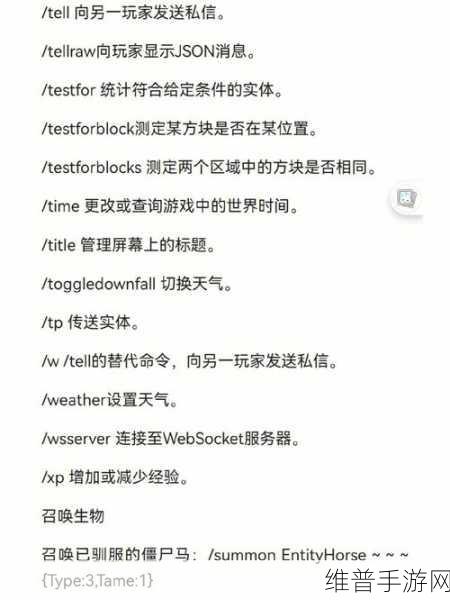 我的世界，指令代码全解析，开启无限可能