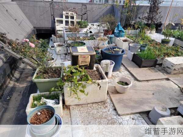 老公亲我的小花园最火的一句内容停更友：当然可以！以下是一些基于“老公亲我的小花园”主题的标题建议：