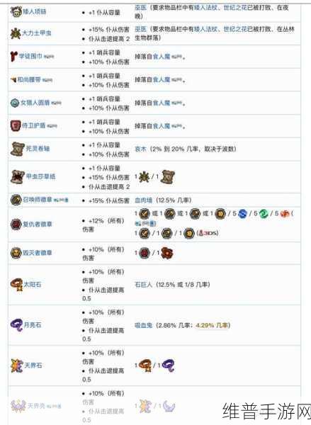 泰拉瑞亚肉后召唤师套装使用全攻略