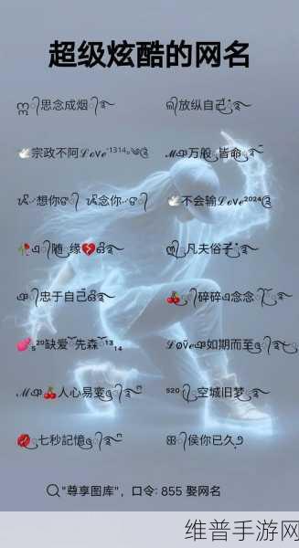2024汤姆视频的最新网名：当然可以！以下是根据2024汤姆视频的最新网名拓展出的几个新