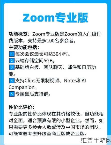国内Zoom人与Zoom：1. “Zoom人：连接世界的虚拟桥梁与创新方案”