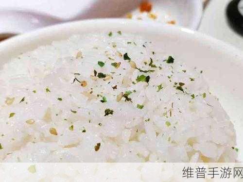 19岁RAPPER潮水欢迎你仙踪林：1. 追寻潮流，跨越仙踪林的音乐世界