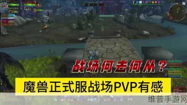 WLK怀旧服战士PVP用武器还是防御：WLK怀旧服战士PVP：选择武器与防御的终极指南