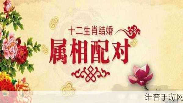 人马是怎么配对的视频已修复：1. 人马配对揭秘：如何找到完美伴侣