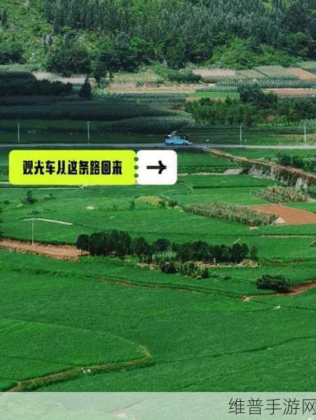 坐上去怎么摇怎么夹：1. 坐上去，尽情摇摆与夹击的乐趣之旅