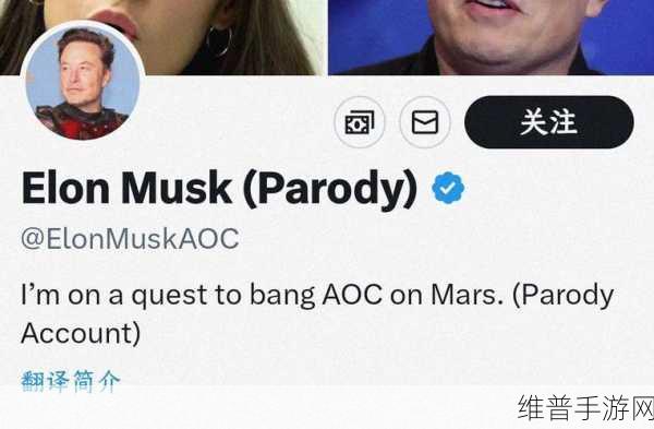 elonmusk妹妹：1. ＂探秘埃隆·马斯克的妹妹：她的故事与影响力