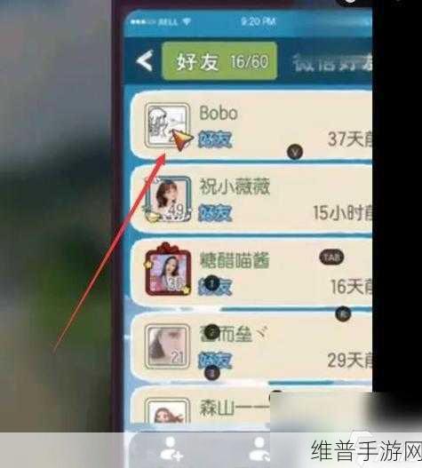 小森生活，如何轻松添加好友，享受田园社交乐趣