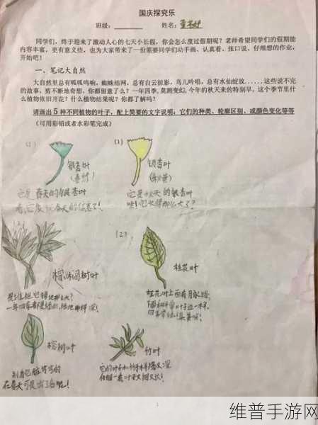互动作业组：当然可以！以下是一些基于“互动作业组”的新标题建议，每个都有十个字以上：