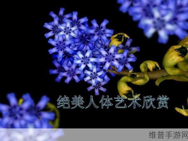 张雨欣人文艺术欣赏ppt：1. 《探索张雨欣艺术作品中的人文精神