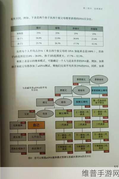 母亲dna和儿子dna一样不：基因遗传：母亲与儿子DNA的相似性分析