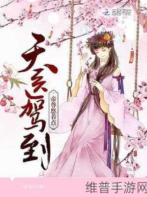 九妖9.1免费版安装教程：1. 九妖9.1免费版安装全攻略：详细步骤与注意事项