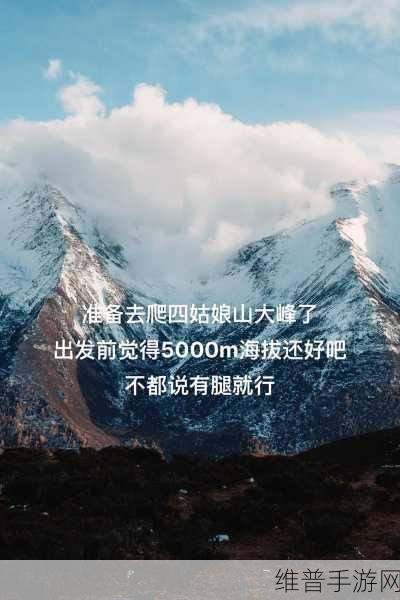 yw31牢记十个以上永不失联的亮点：1. 永不失联：如何确保与他人保持紧密联系