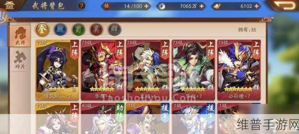少年三国志金将阵容搭配深度解析，打造无敌战队