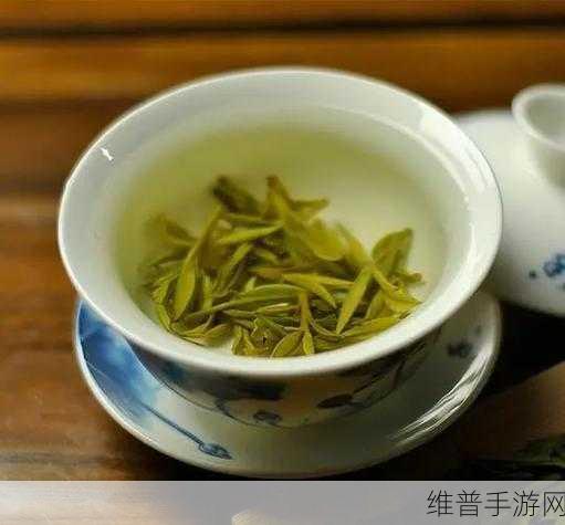 成都新茶嫩茶wx600：1. 成都新茶嫩茶：感受春日的清新气息
