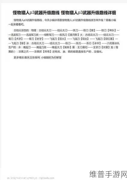 怪物猎人P3深度攻略，村长下位任务详解