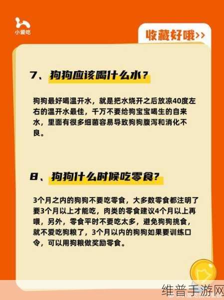 人狗胶配方大全狗狗一天吃多少：1. ＂科学喂养：狗狗每日食量与营养配方详解