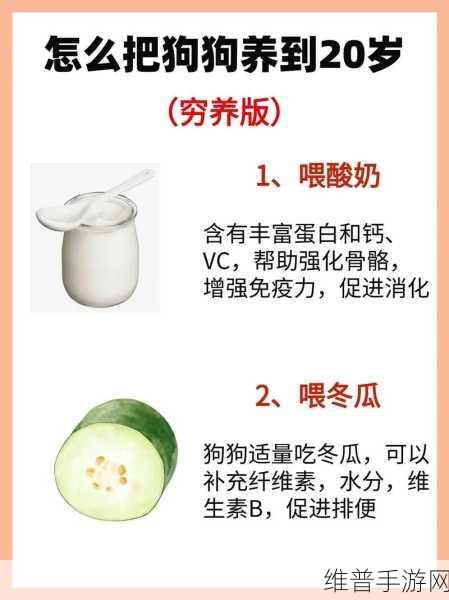人狗胶配方大全狗狗一天吃多少：1. ＂科学喂养：狗狗每日食量与营养配方详解