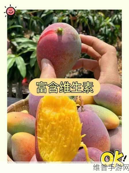 芒果精产国品一二三产区区别：探秘芒果精产国的三大产区特点与差异
