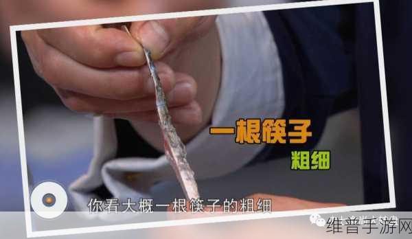 清纯汆肉的日常：1. 探索清纯汆肉的独特魅力与美味秘方