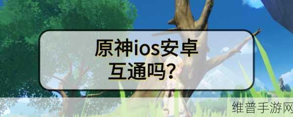 桃源深处有人家安卓iOS互通问题全解析,挑战与解决方案