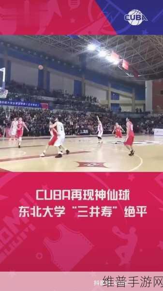cuba东北大学王猛1网址：1. 王猛教授在东北大学的科研成就与贡献