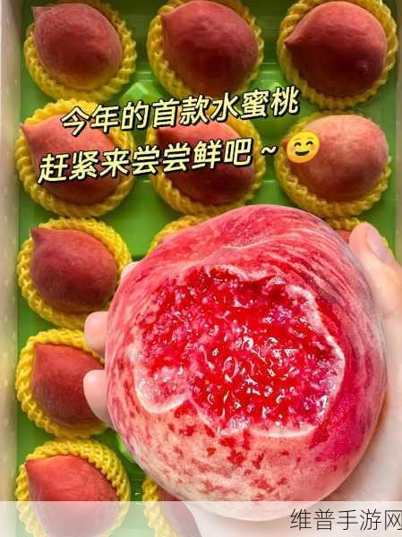水蜜桃4小蜜桃4:1. 水蜜桃的甜美与小蜜桃的娇嫩:果香四溢