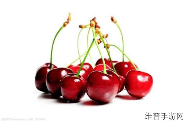 樱桃视频大全免费高清版观看：1. 樱桃视频：畅享高清精彩影像的绝佳选择