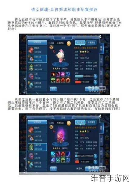 倩女幽魂手游灵兽技能选择及打书心得全解析