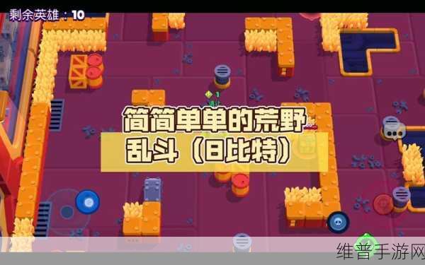 荒野乱斗深度攻略，揭秘八比特与纳尼的潜在关系