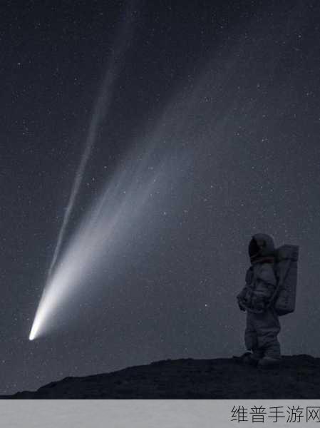 法国满天星《酒店服务生》：1. 《星空下的服务：探索酒店生的日常生活