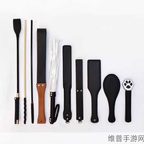 SP的标准惩罚是什么：1. 深入了解SP标准惩罚的多维解读