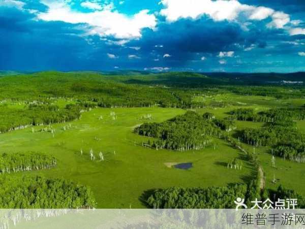 伊春园2022直达进入:伊春园2022直达新体验:探索自然美景与文化魅力