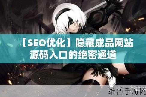 成品网站源码78W78隐藏通道1APP：1. ＂揭秘78W78隐藏通道：成品网站背后的神秘APP